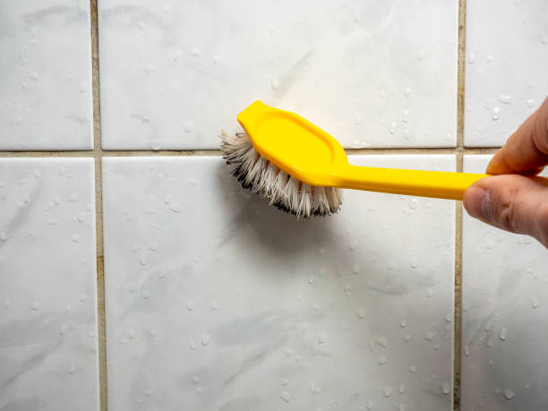 Best Emergency Mold Remediation in Fredericktown, MO