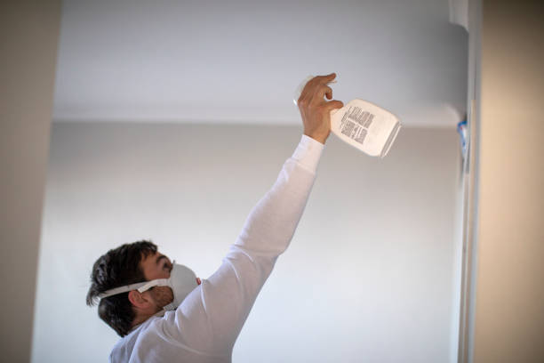 Best Post-Flood Mold Remediation in Fredericktown, MO