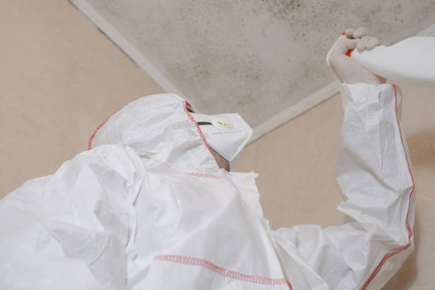 Best HVAC Mold Remediation in Fredericktown, MO